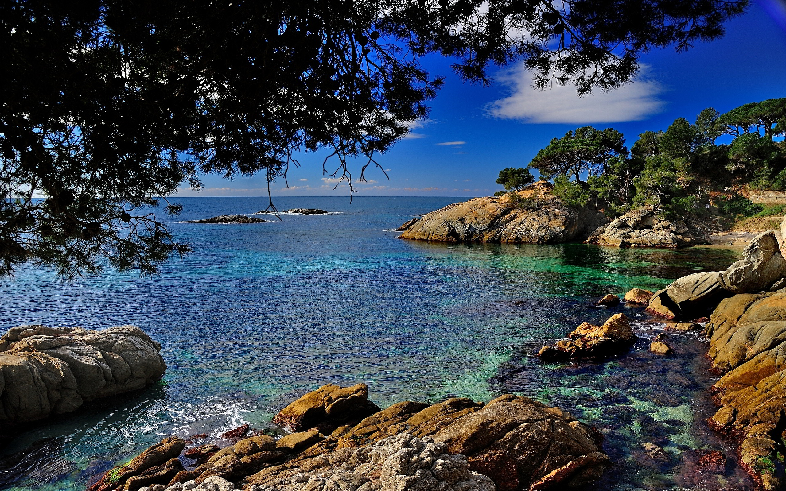 Las 10 mejores zonas de inmersión de España