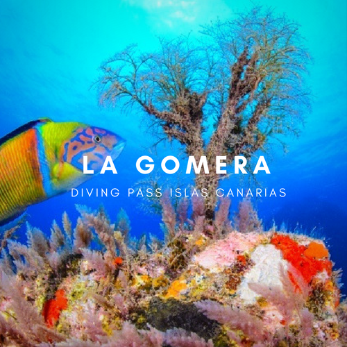 Diving pass la Gomera
