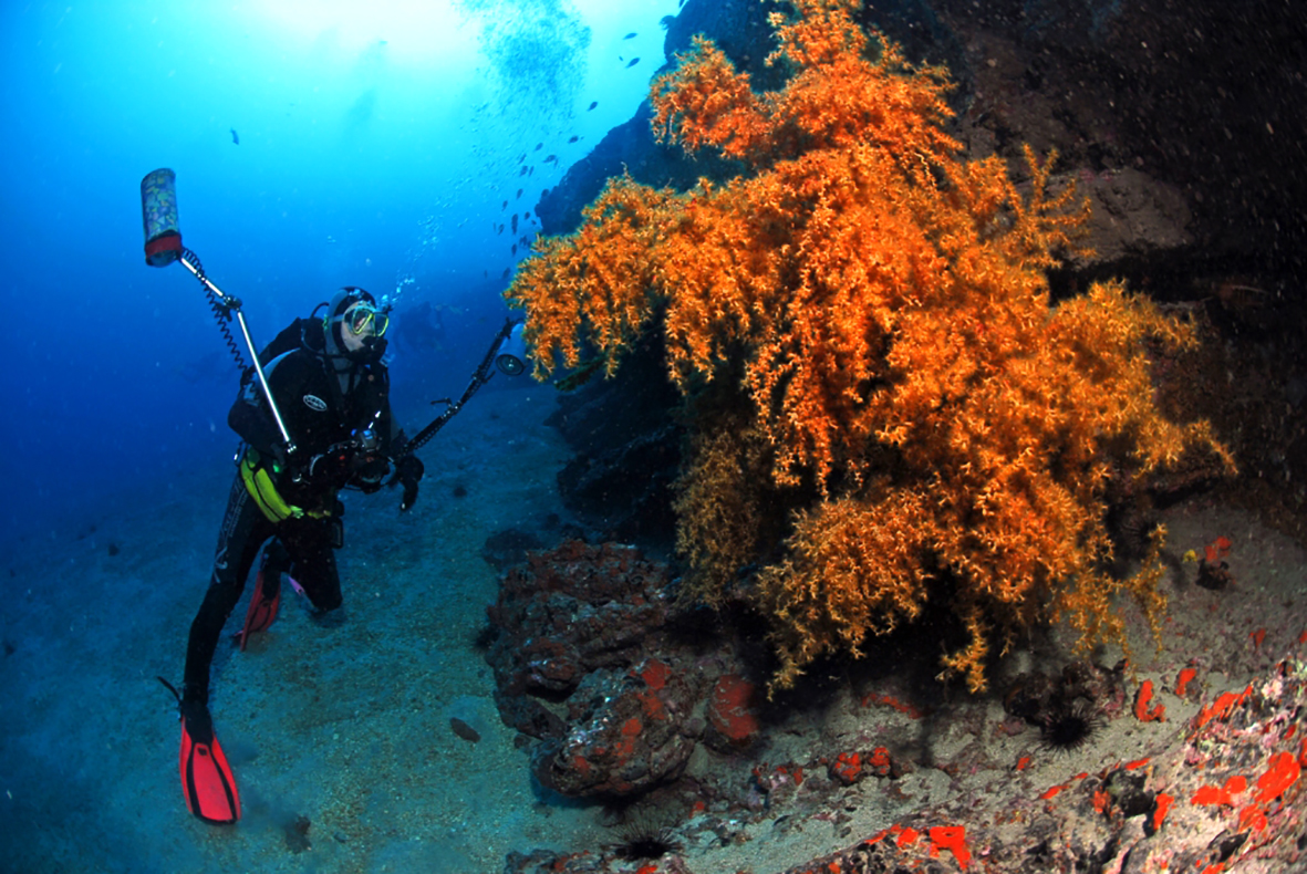 Deep Blue Diving Fuerteventura