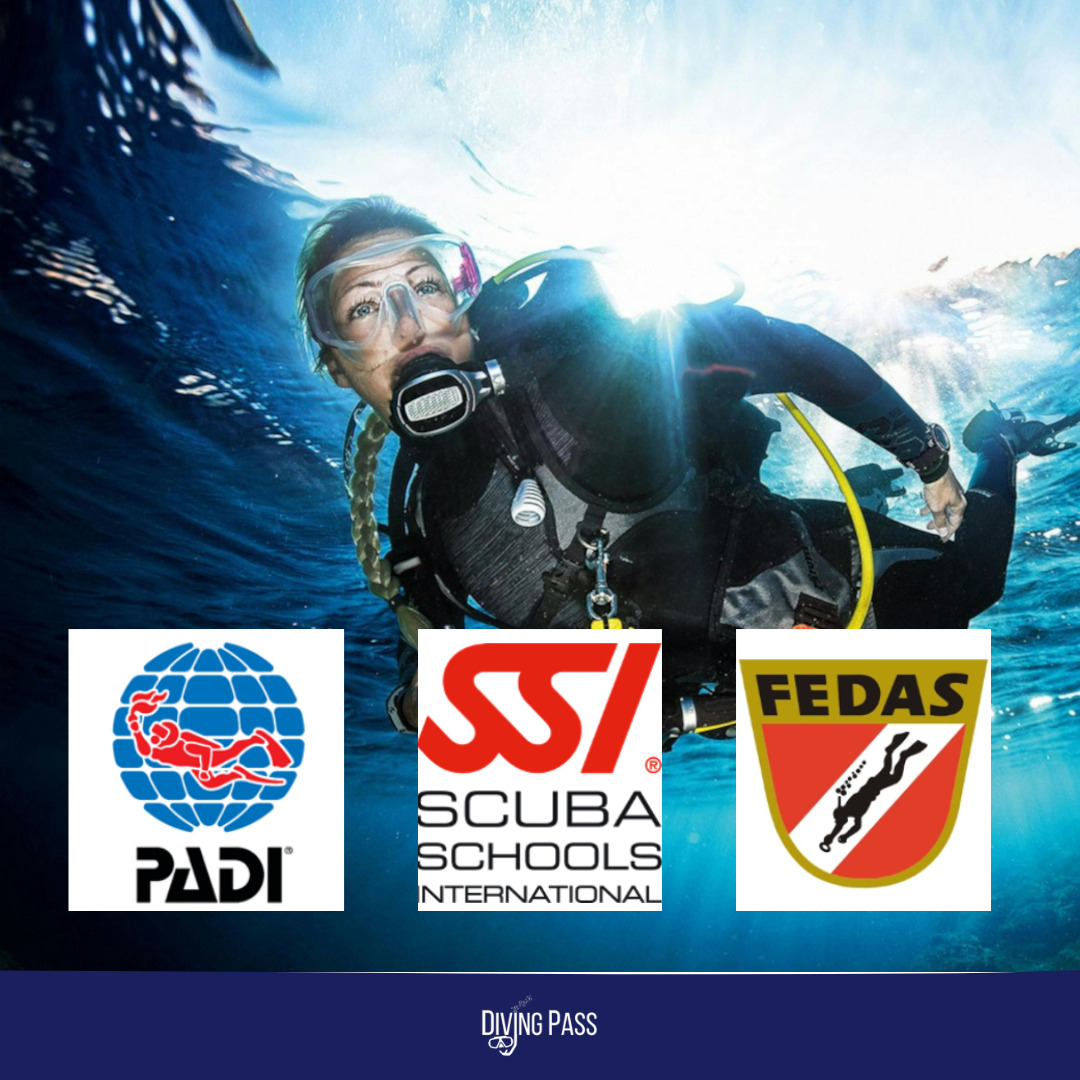 Diferencias entre federaciones de buceo