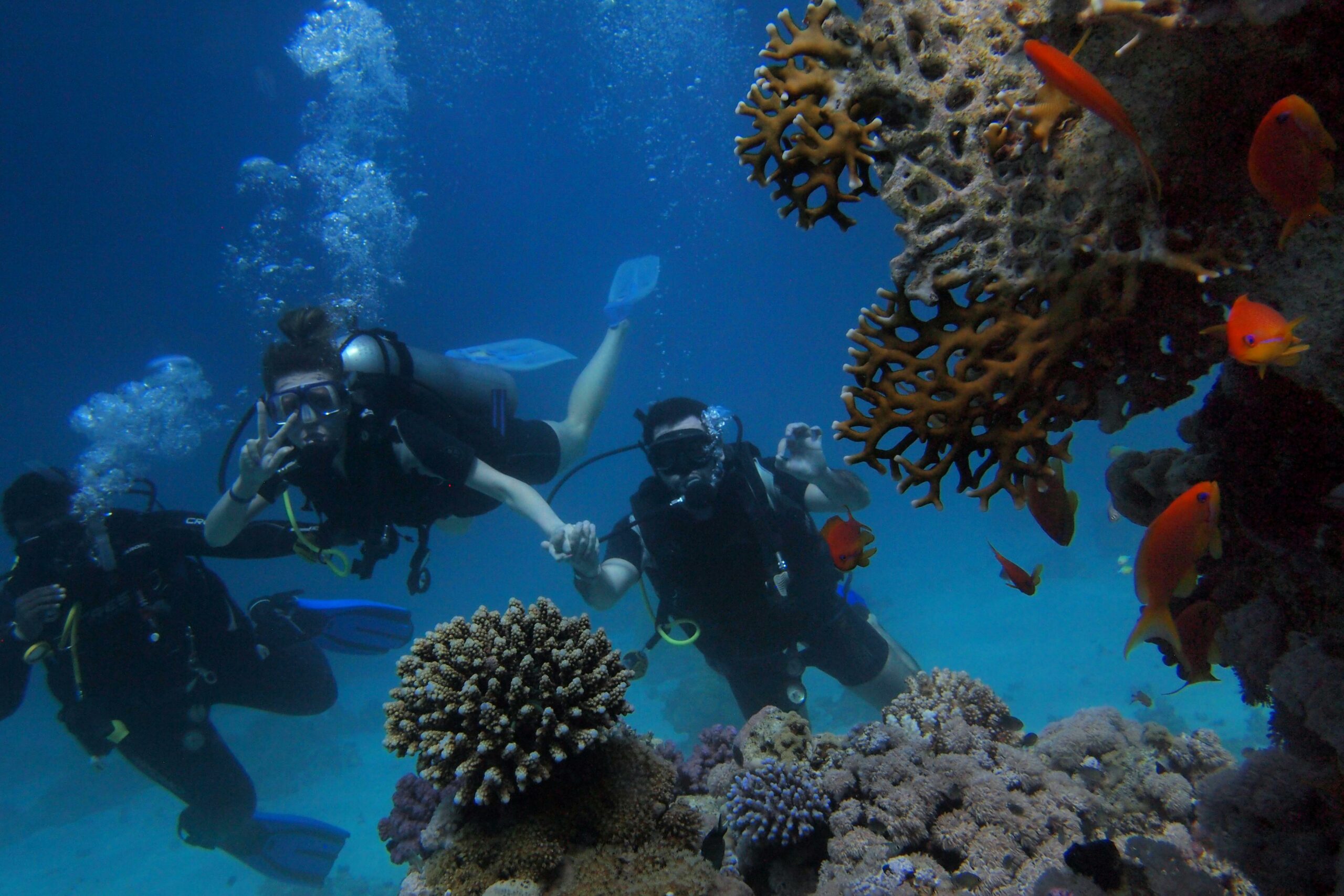 Explora Tenerife junto a Diving Atlantis en Los Cristianos