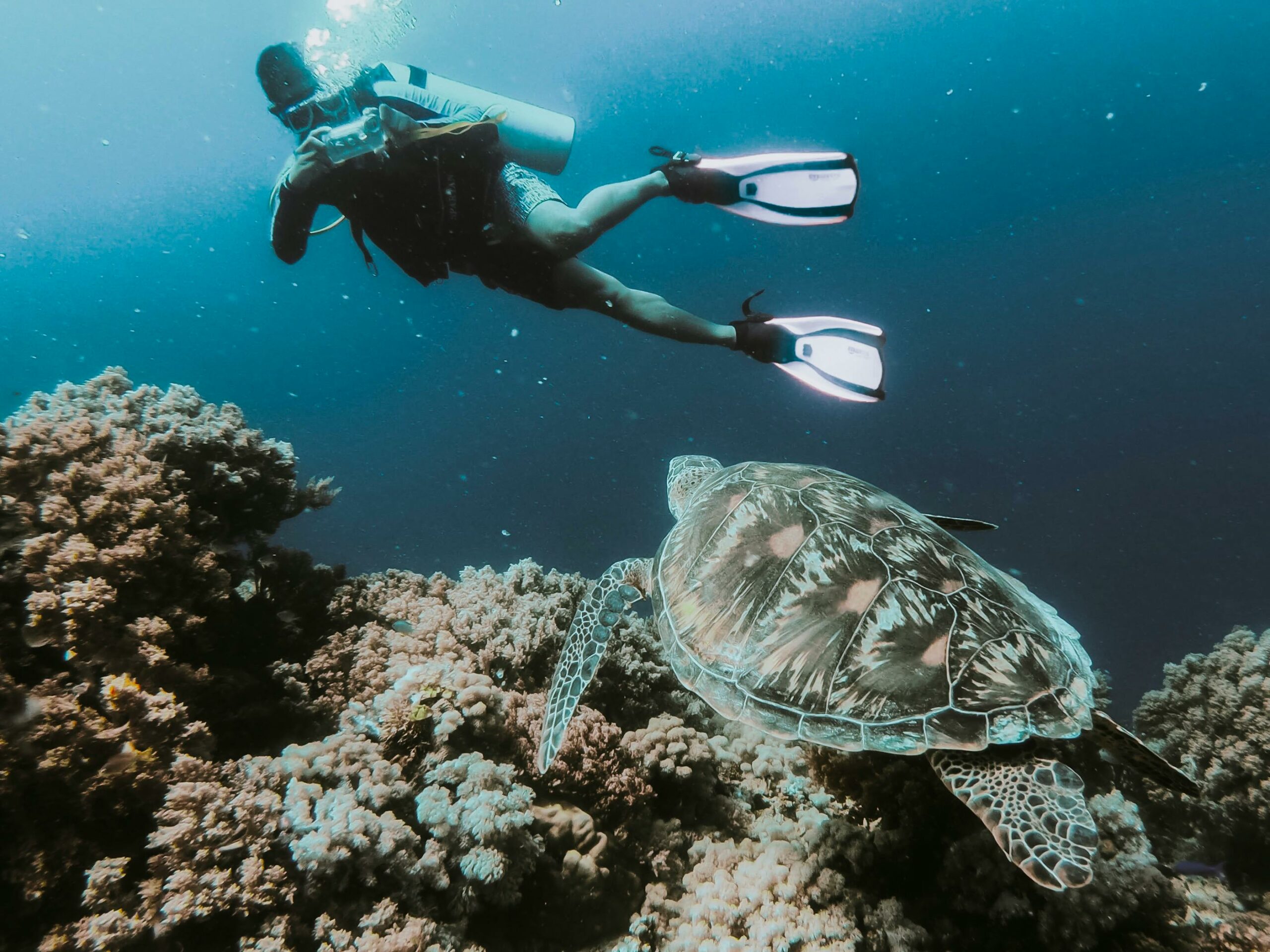 Lux Divers, tu Centro de Buceo en Calpe