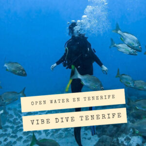 Open Water en Arona con Vibe Dive Tenerife