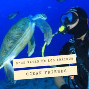 Open Water en Los Abrigos con Ocean Friends